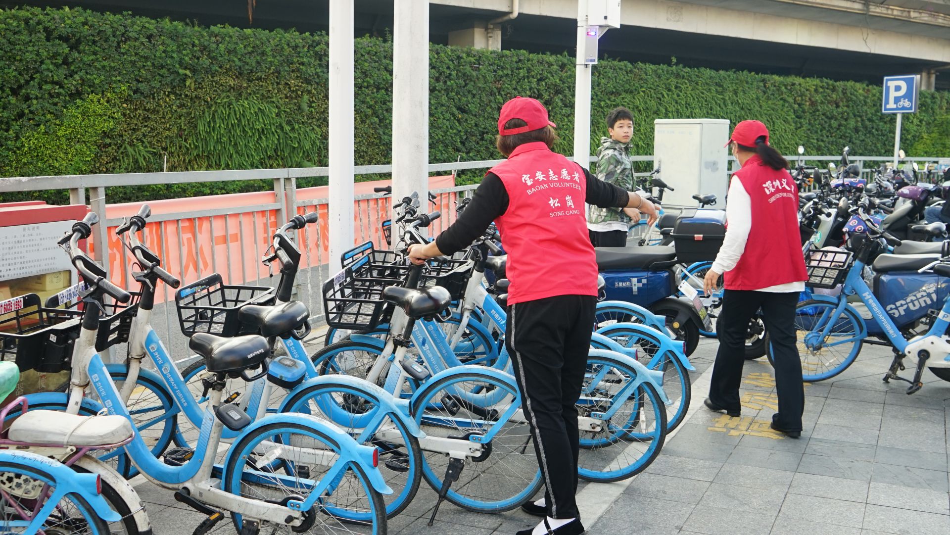 松岗志愿者用志愿行动献礼深中通道通车