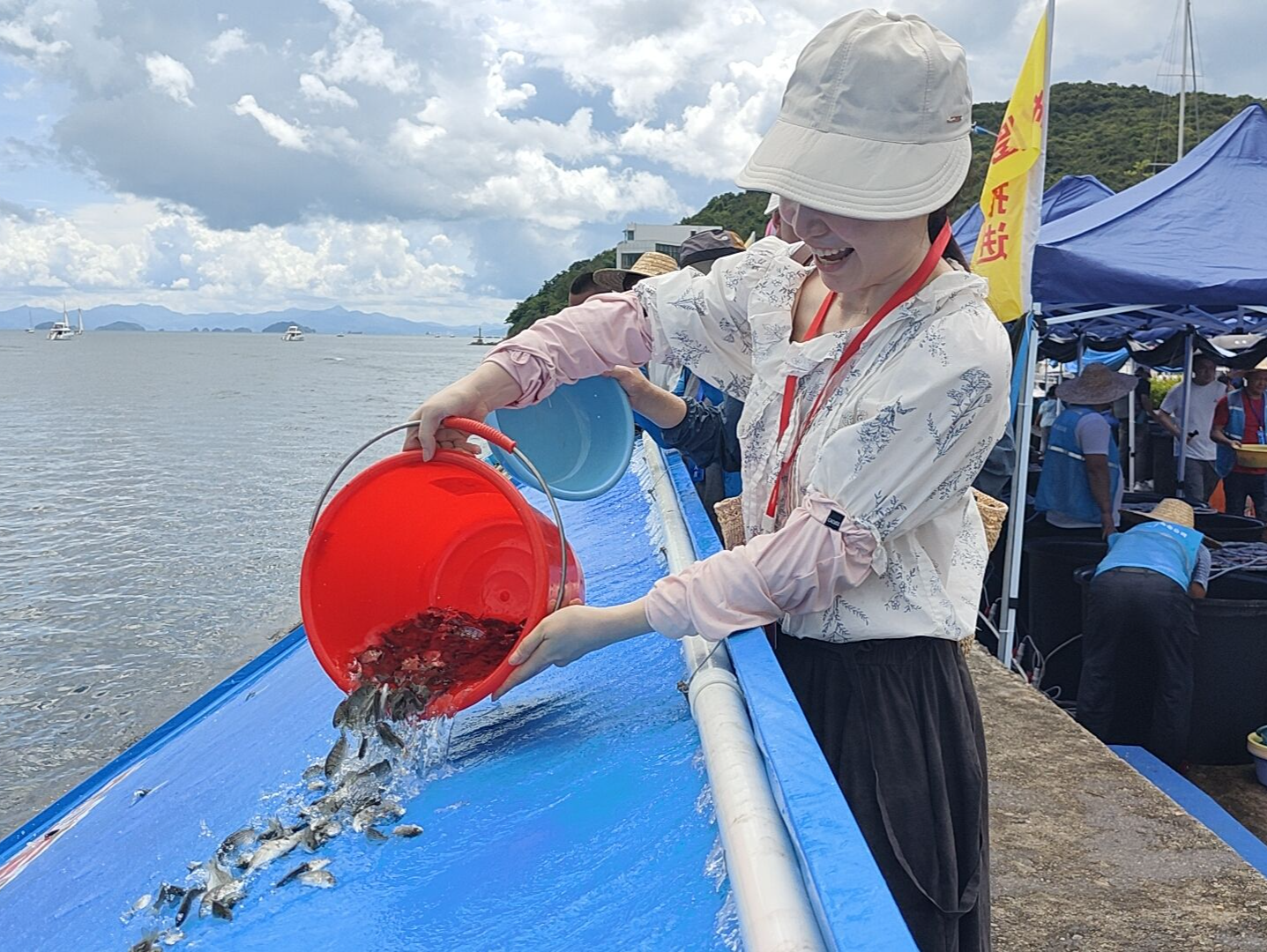 中国海油在深圳投放6800多万尾各类鱼虾贝等苗种