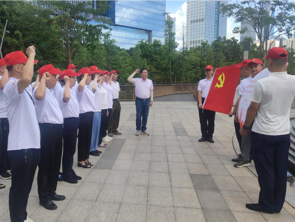 “红星向党 一路追光” 南山区退役军人主题党日活动举行