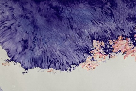 他行走世界，因“中山莲”而来