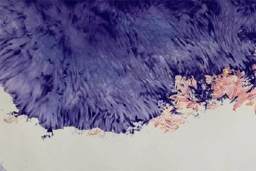 他行走世界，因“中山莲”而来