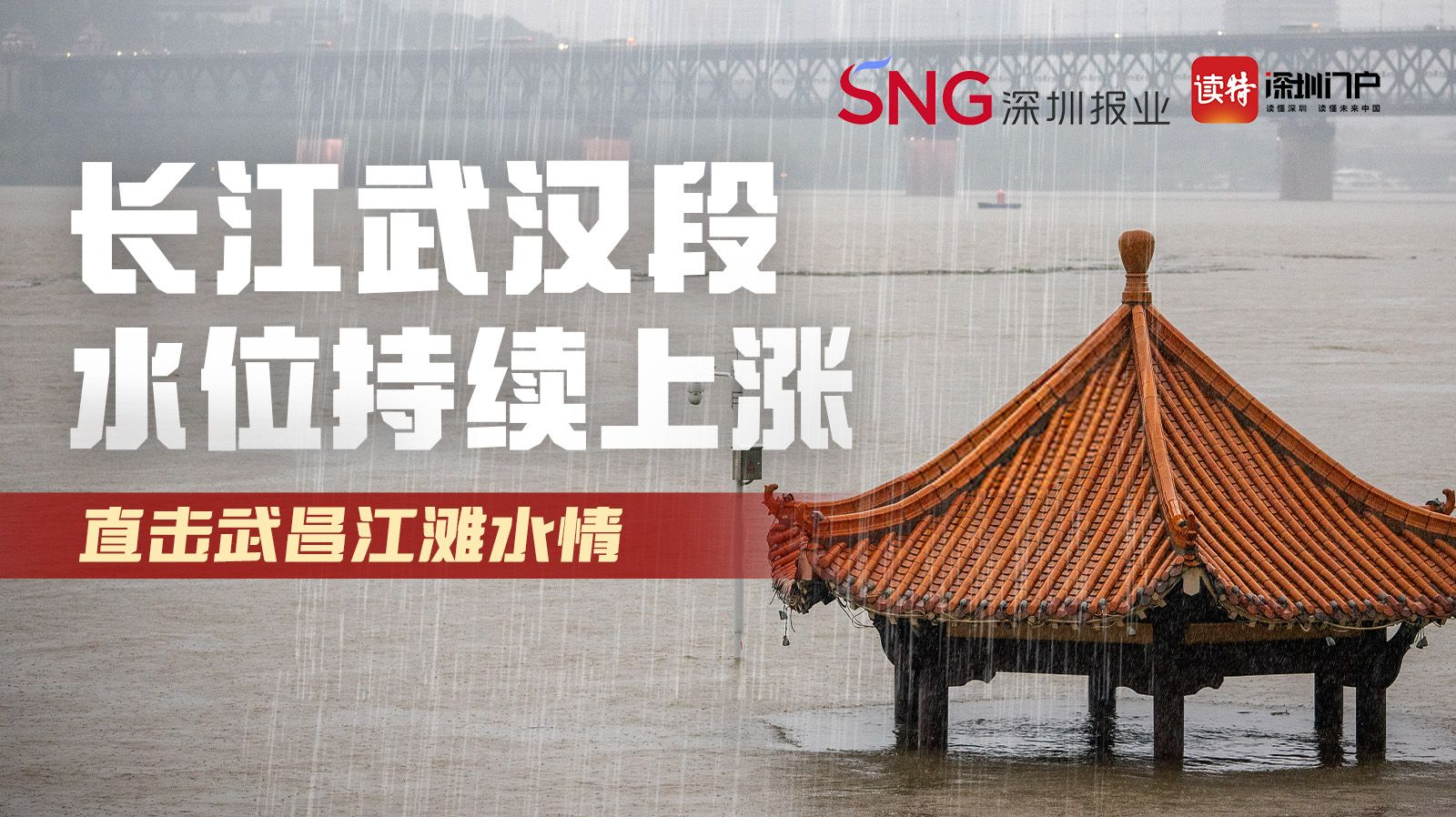 直播 | 长江武汉段水位持续上涨 直击武昌江滩水情
