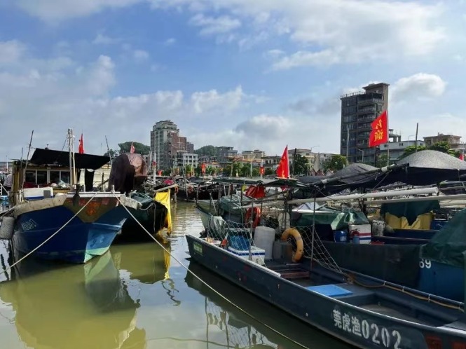 珠江流域开渔！一大波河鲜马上“到胃”