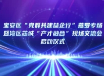 宝安区“党群共建益企行”燕罗专场活动举办 湾区芯城谱写产才融合新篇章