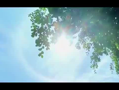 微视频｜绿水青山间