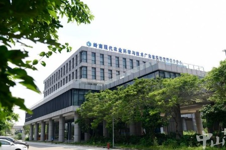 “大桥时代•走读湾区”肇庆篇① | “西江明珠”崛起高新产业新城