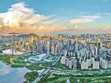 深圳一周 | 各区书记区长在忙啥？（8月12日-8月18日）