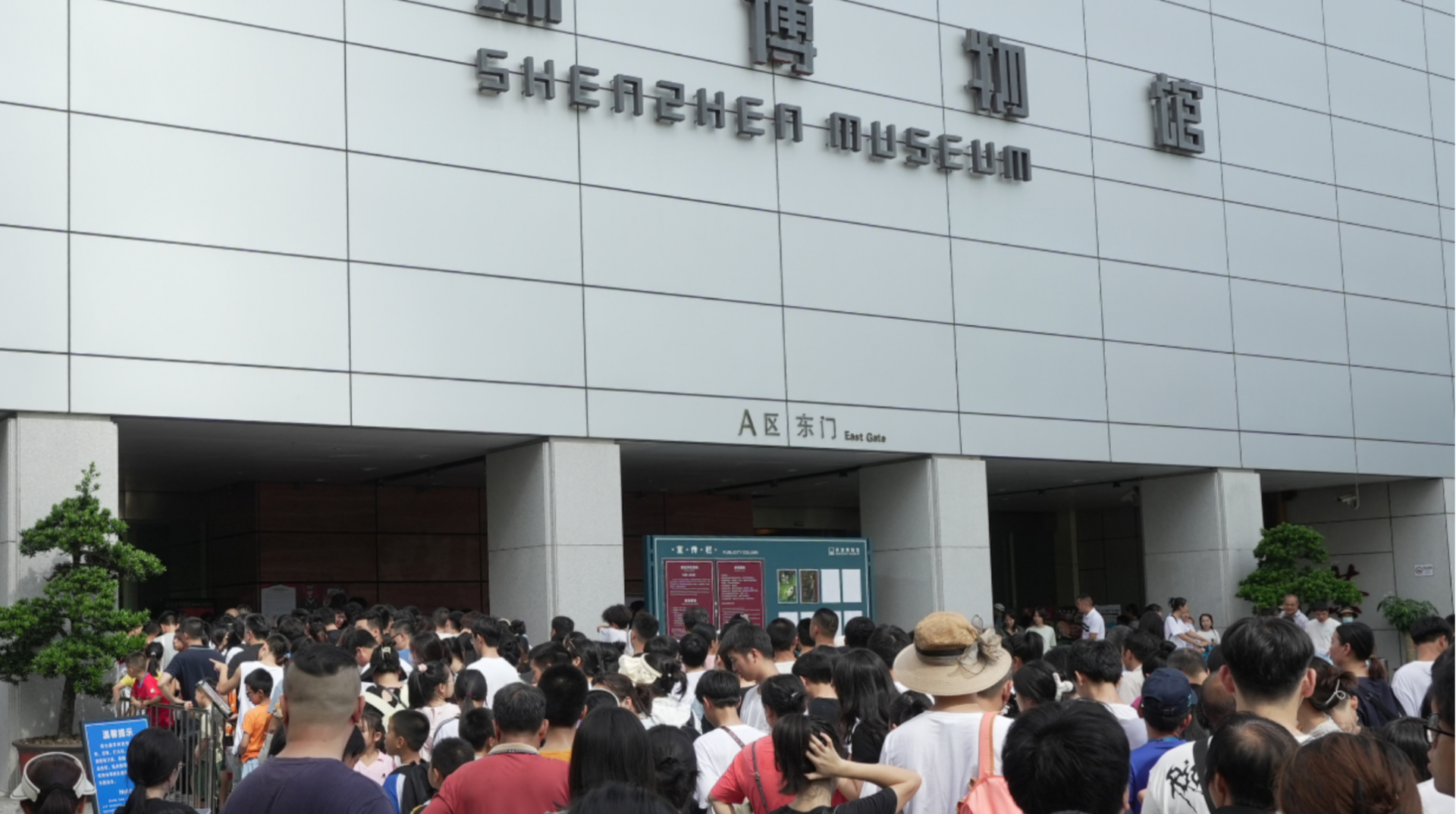 抓住暑假小尾巴，深圳各大文化场馆活动持续上新