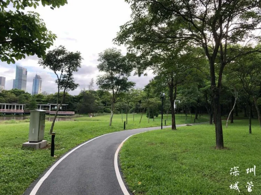 太city了！免费又便捷，原来深圳人都在这里健身