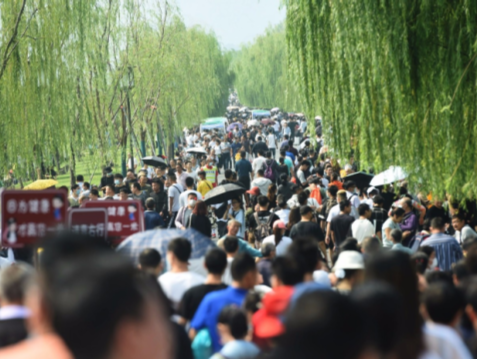 40元4天3晚游桂林？揭秘“低价游”背后灰色产业链→