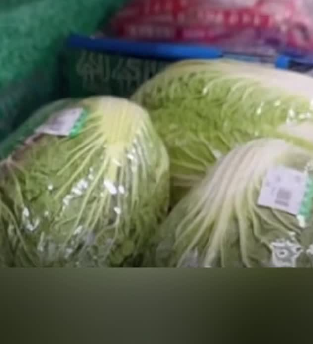 “国民蔬菜”变“金菜”？韩国大白菜涨到37元一颗
