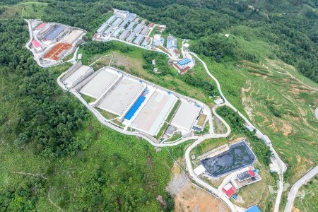 山水携手|粤黔协作助力，凉都跑山猪“跑”进港澳市场