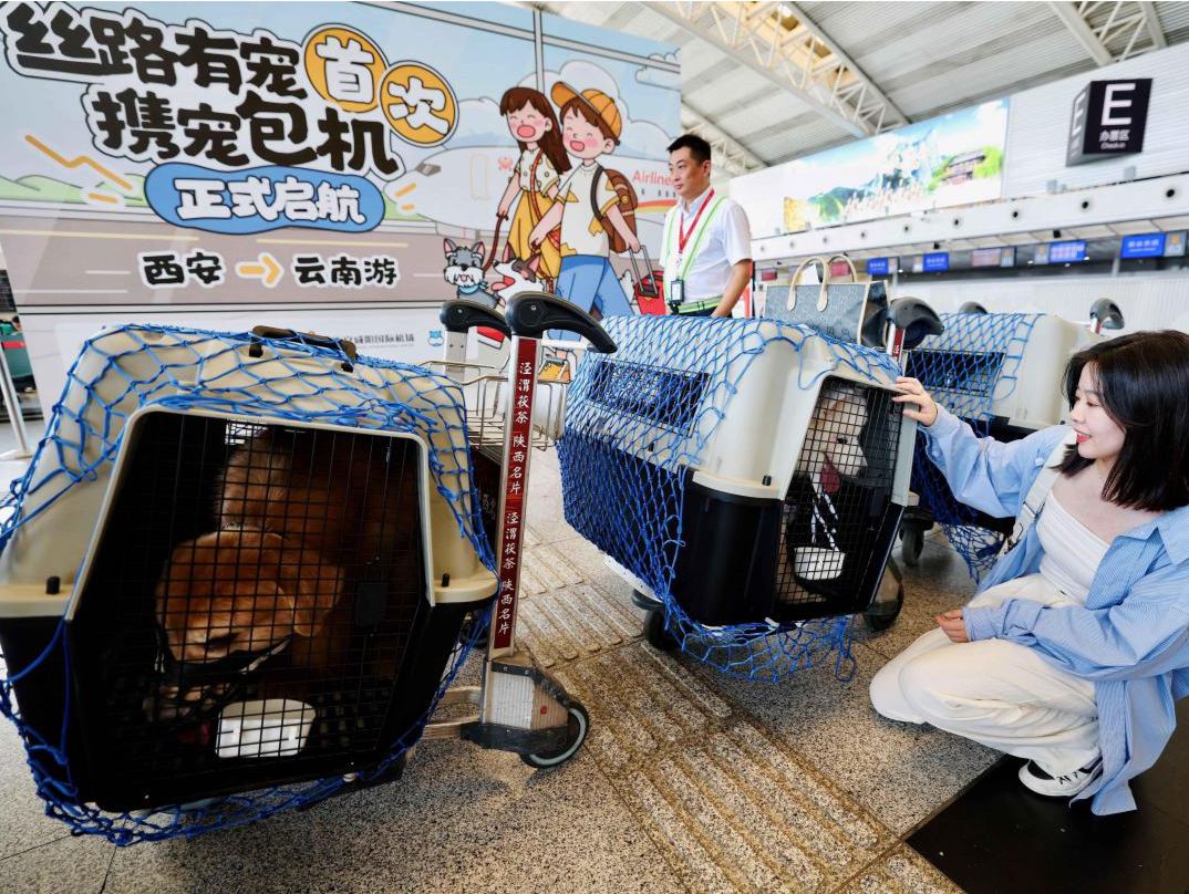 海南航空推出首个宠物包机航班