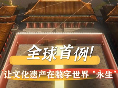 晶视频 | 全球首例！让文化遗产在数字世界“永生”