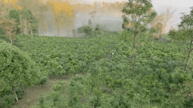免费游、红包、旅游金、茶礼等你来领→｜投票出你心中的饮茶胜地