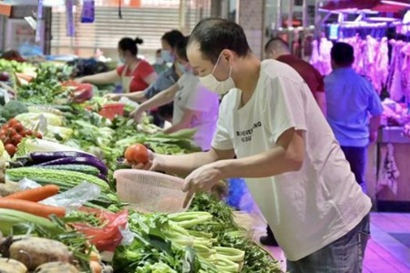 7月份中山市民消费价格同比下降0.5%，鲜菜价格上涨5.7%