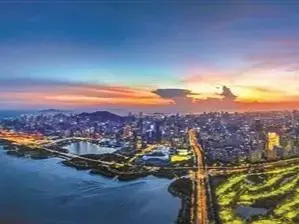 深圳一周丨各区书记区长在忙啥？（7月29日-8月4日）