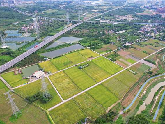 广东明确2024年土地利用计划，赋予各地市更大用地自主权