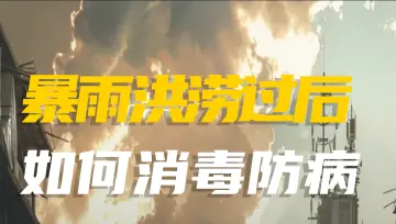 暴雨来袭如何应对？南山区水务局这份防御指引请收好