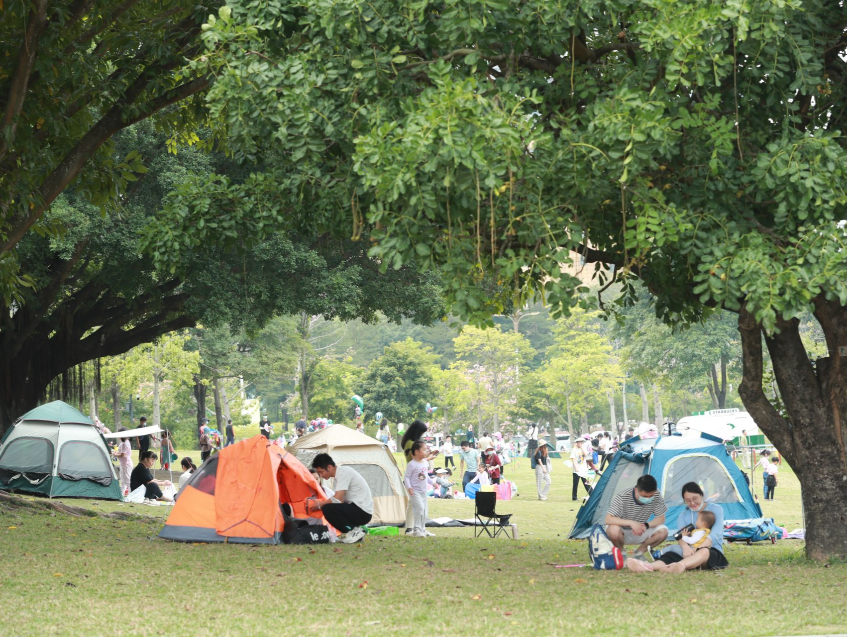 呵护孩子健康成长！这个暑假深圳家长带娃体验早教、户外遛娃