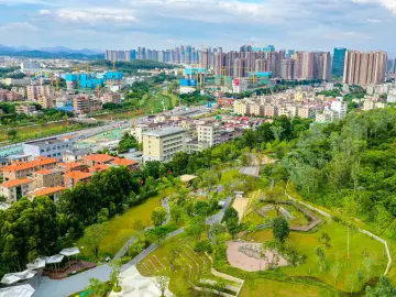 坪山房地产领域全周期治理改革迭代升级