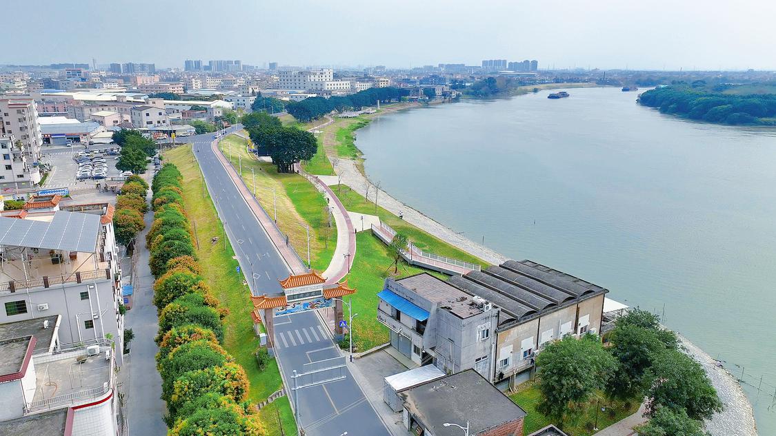 顺德“睇水” 勒流够“掂水” | 系列短视频《探龙·勒流》之勒水游龙