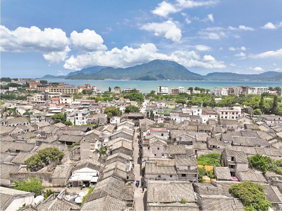 晶报特别报道│大鹏所城：历史照亮同学们的未来
