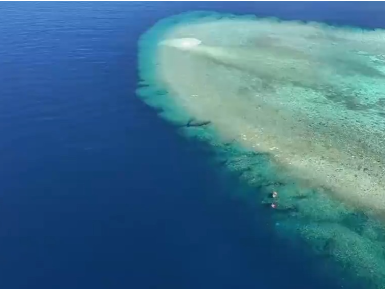 我国首次发布仙宾礁珊瑚礁“体检”报告，菲方炮制言论毫无科学和事实依据