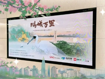 跨界联动、礼赞深圳，AI长卷《鹏城万里》何以出圈？
