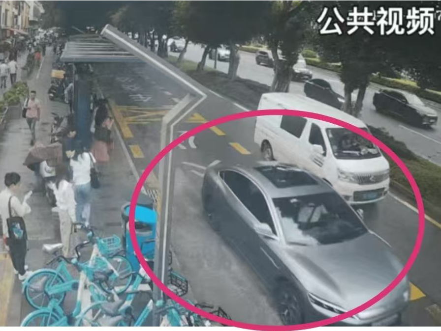 开车溅人一身水？深圳一司机被罚款