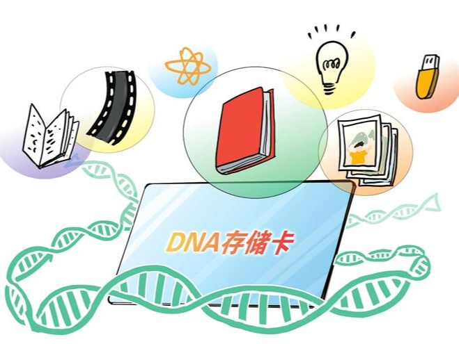 新一代数据存储技术远超你想象！1千克DNA，装下全球所有数据