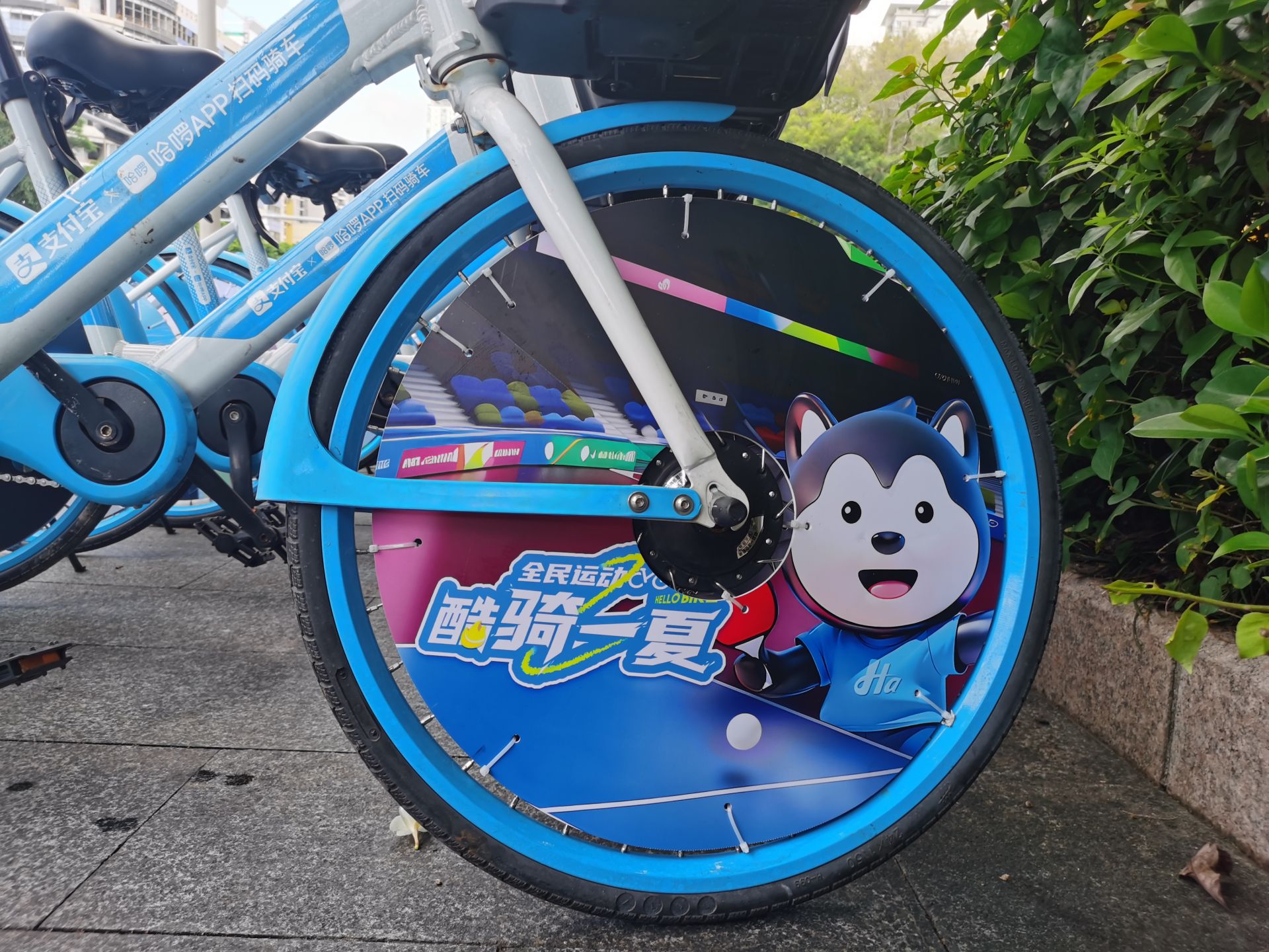 奥运赛事带火全民健身，哈啰助力深圳市民“骑”趣出行