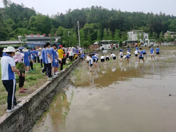 深圳对口帮扶带来久久红利  河源仙坑村研学游火了乡村富了民