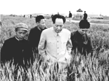 毛泽东与调查研究