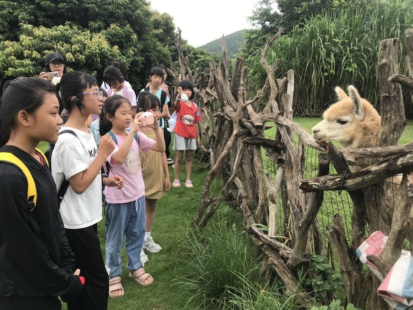 走进自然与科学，共研未来梦想！南澳携手30名深港青少年开展“五色研学”活动