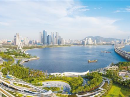 创新前海生机勃勃 为高质量发展添活力聚合力增动力
