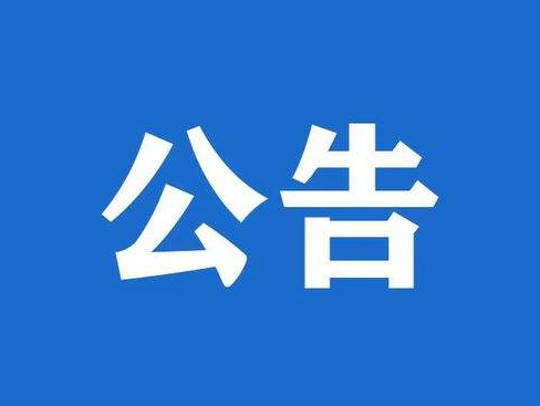 合盛硅业原董事、总经理方红承一审被判有期徒刑四年六个月，罚款100万元