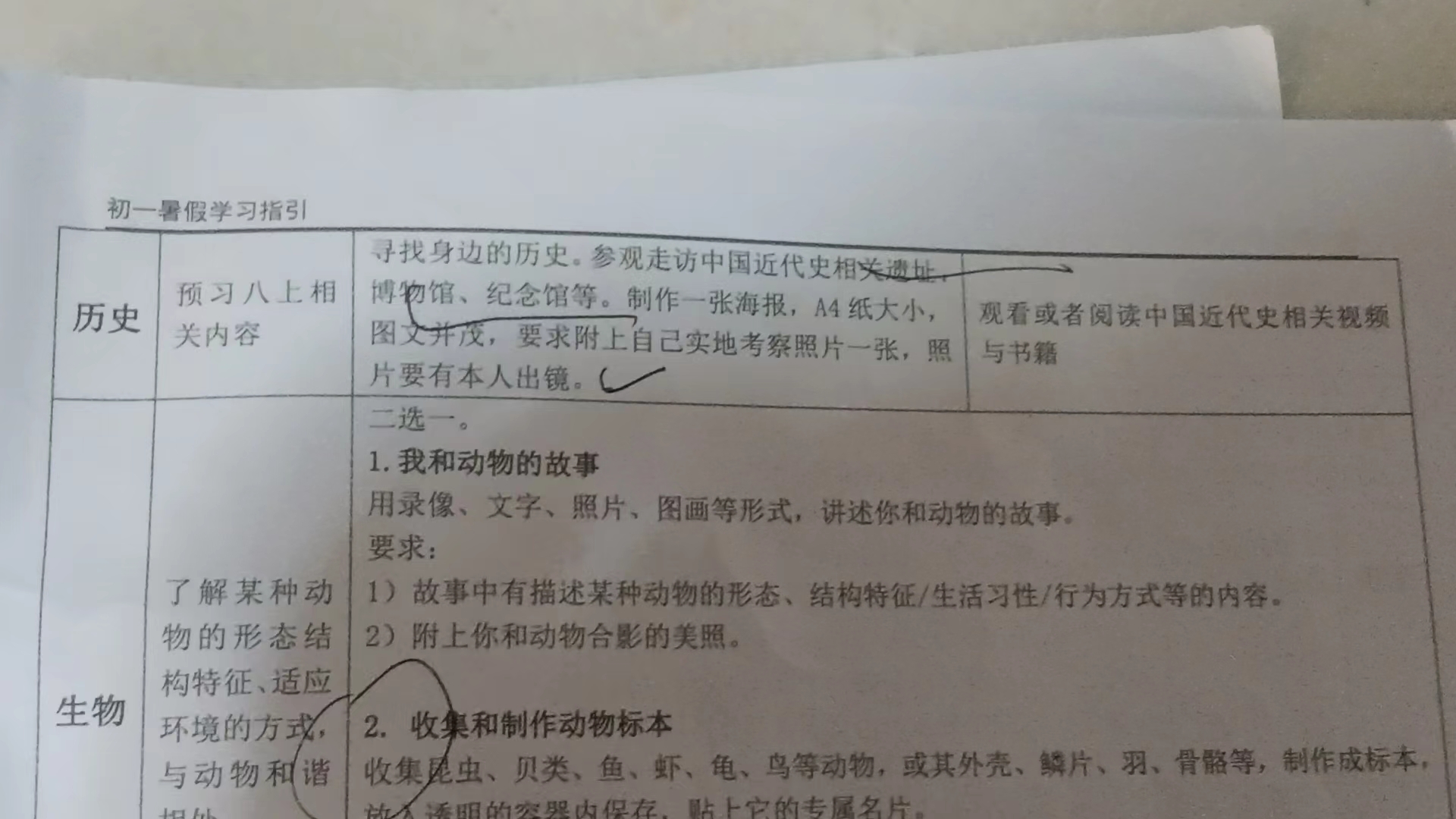 民生直击 | 作业到底给谁做的？暑假余额不足“代做手工”生意又火了！