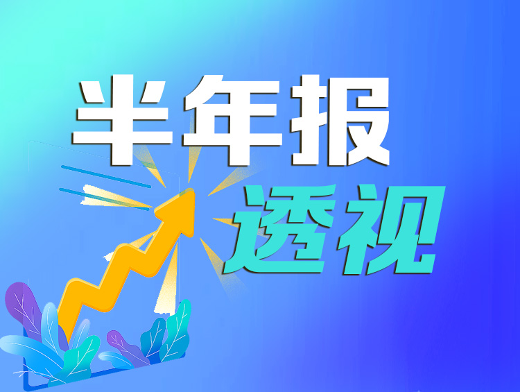 财报透视｜安奈儿上半年亏损放大 二季度重回亏损怪圈 门店一年减少138家