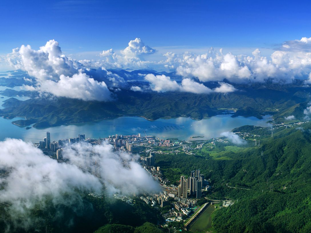 快来深圳取景拍剧吧，最高奖200万元！深圳出台12条措施发力网络微短剧产业