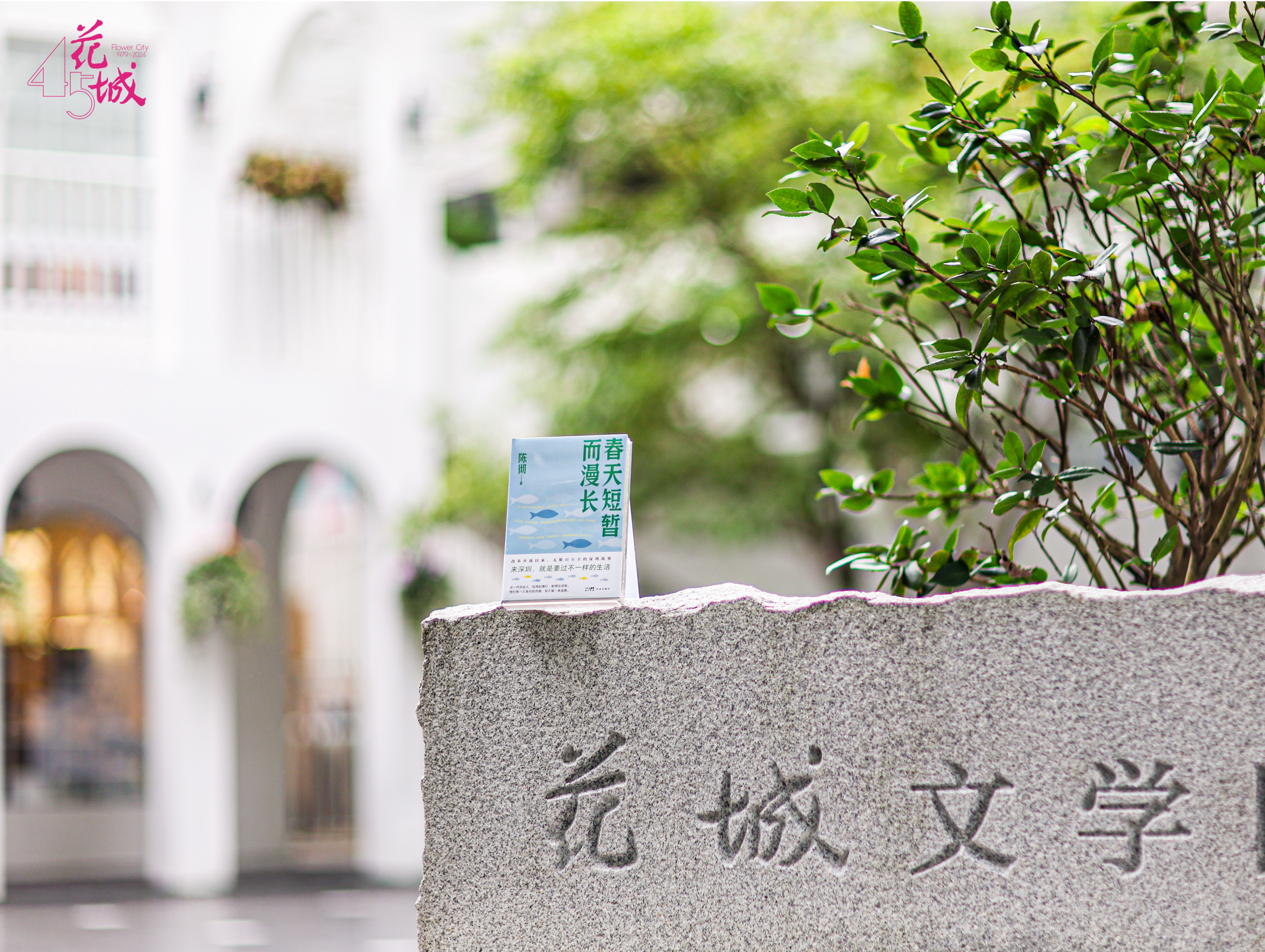 （不发）文学书写深圳的改革开放创业史，《春天短暂而漫长》新书分享会在广州举行