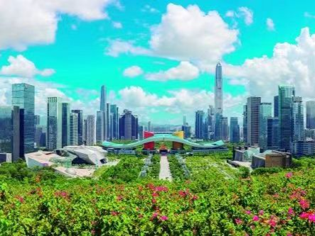 枝繁叶茂现雏形——“数”看深圳推进先行示范区建设五周年