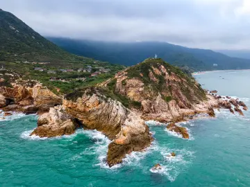 暑假过半，深圳旅游市场客流熙攘、热度不减
