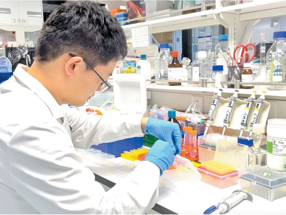 光明企业创新药完成首例受试者给药 阿尔茨海默病治疗或取得新突破