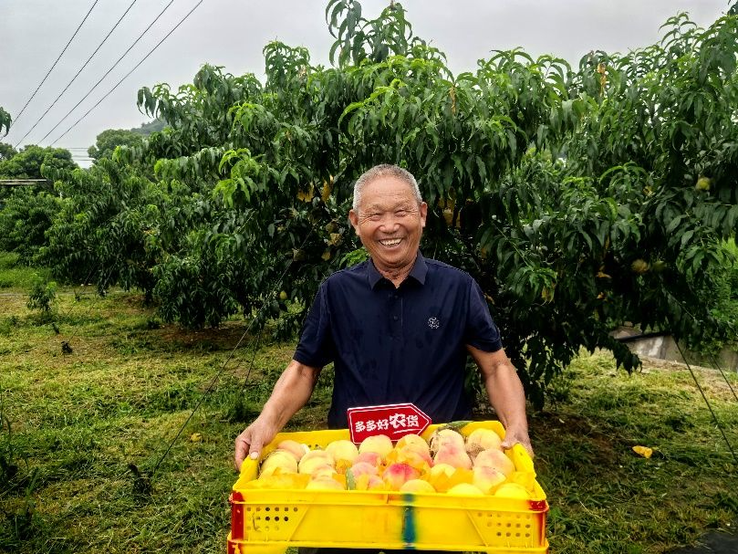 拼多多发布Q2财报，未来一年减免100亿元交易手续费