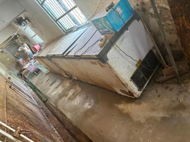 曾被曝“20只东北虎死亡”！阜阳野生动物园非法繁殖老虎被罚1139万元