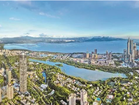 深圳一周丨各区书记区长在忙啥？（8月5日-8月11日）