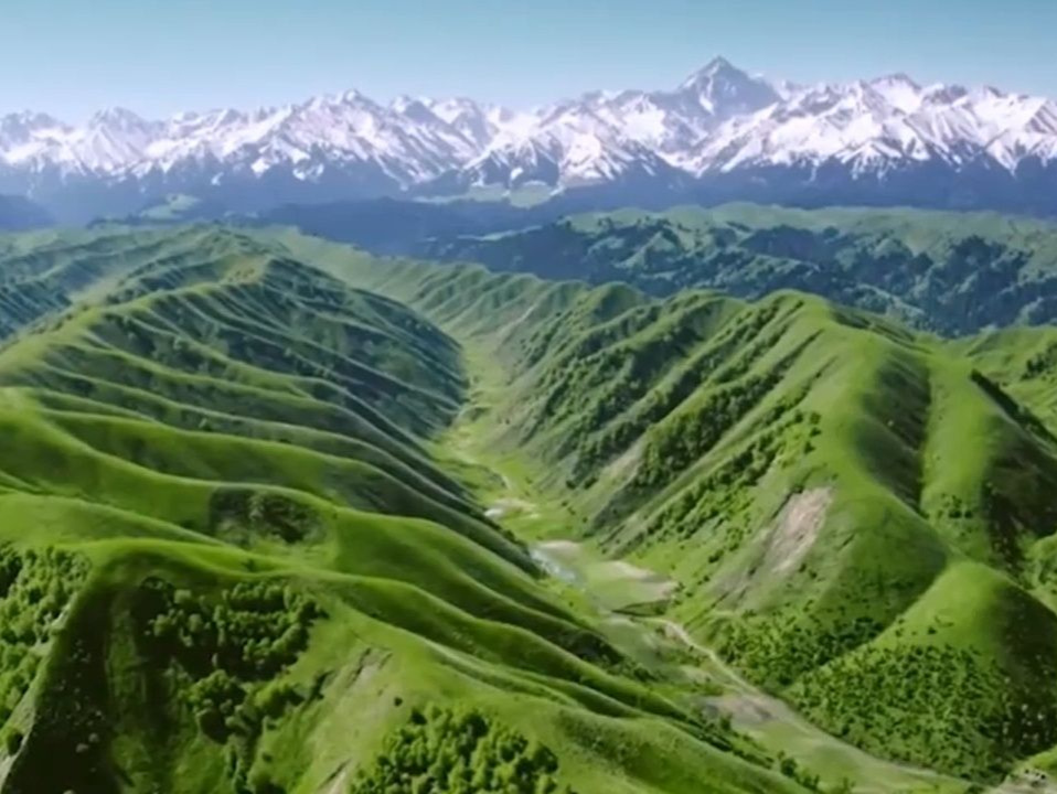 总书记的人民情怀丨“为子孙后代留下山清水秀的生态空间”
