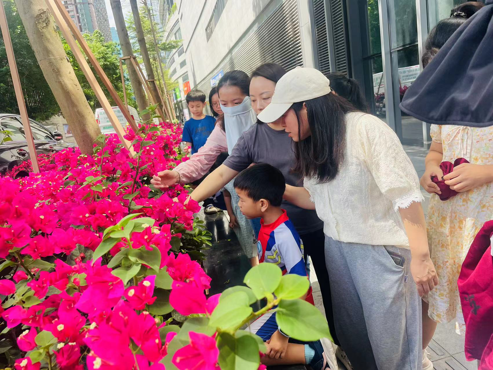 罗湖区老围社区开展认识植物与栽种技巧学习日活动