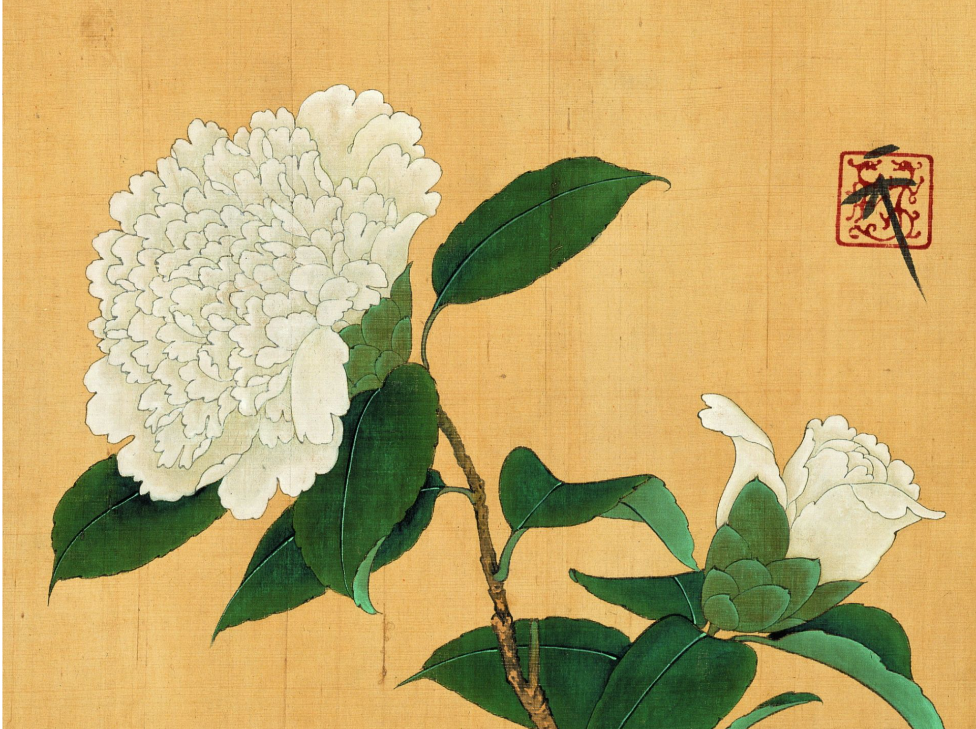 做一朵微笑的花｜人文天地·南海潮